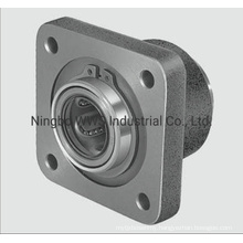 Flanged Cast Iron Housing for Linear Bearings